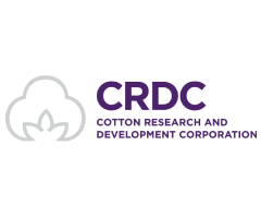 240x200-CRDC