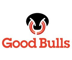 December 2023 Good Bulls Guide
