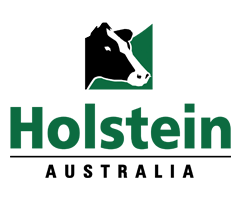 240x200-holstein australia