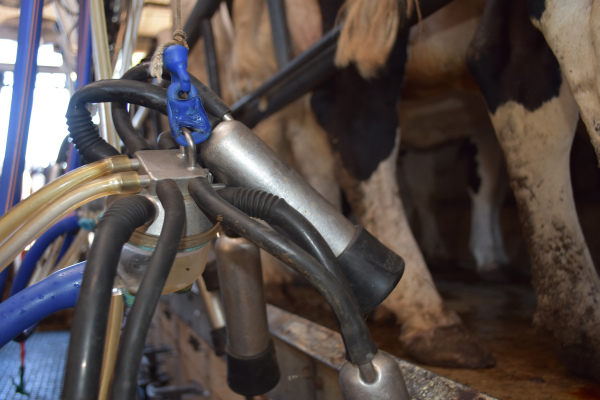 Donava_Zwecks (90)-SA-LoRes