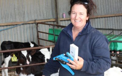 Using science to confirm heifer retention decisions