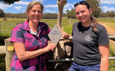 Tools guide breeding and retention moves in Western Australia