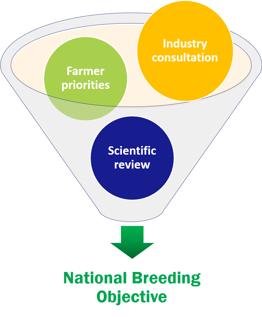 NBO funnel