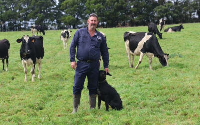 Wines family breed for efficient animals