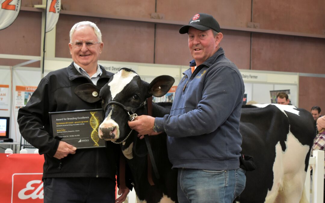 Newcomer takes the Winter Fair’s Highest BPI Award