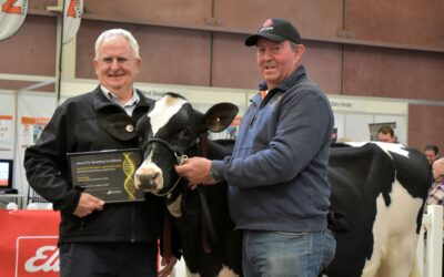 Newcomer takes the Winter Fair’s Highest BPI Award