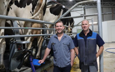 Genomics help deliver step-change in SA business