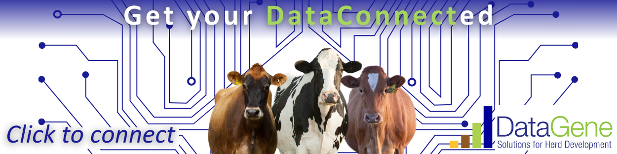 Datagene Email signature DataConnect | DataGene