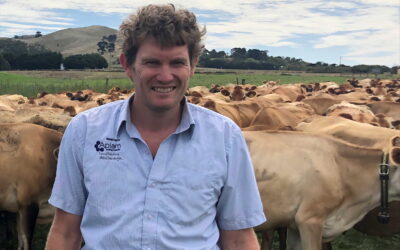 New data automations a game changer for farmers and advisers