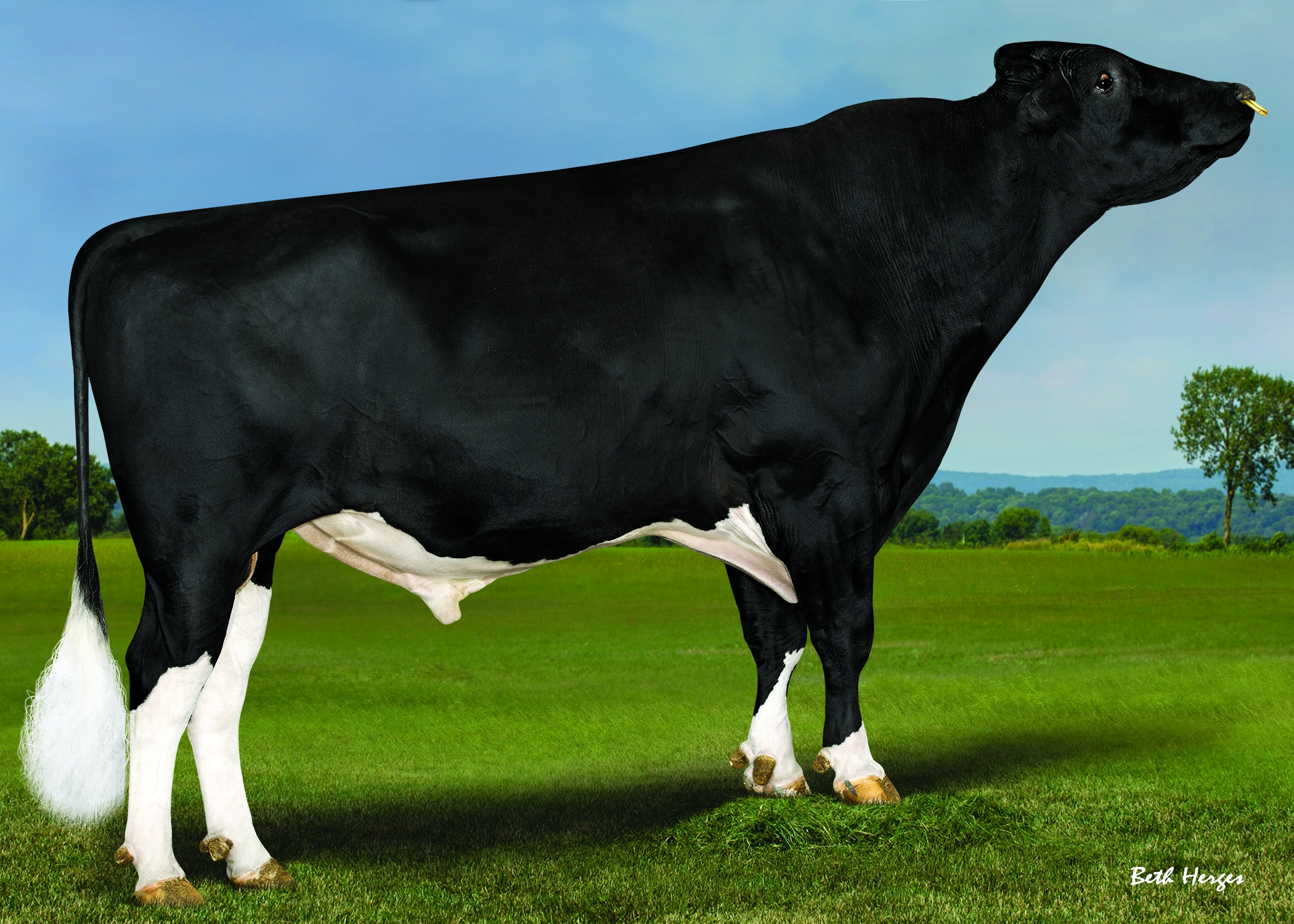 RS12989_Jeronimo-P_5y