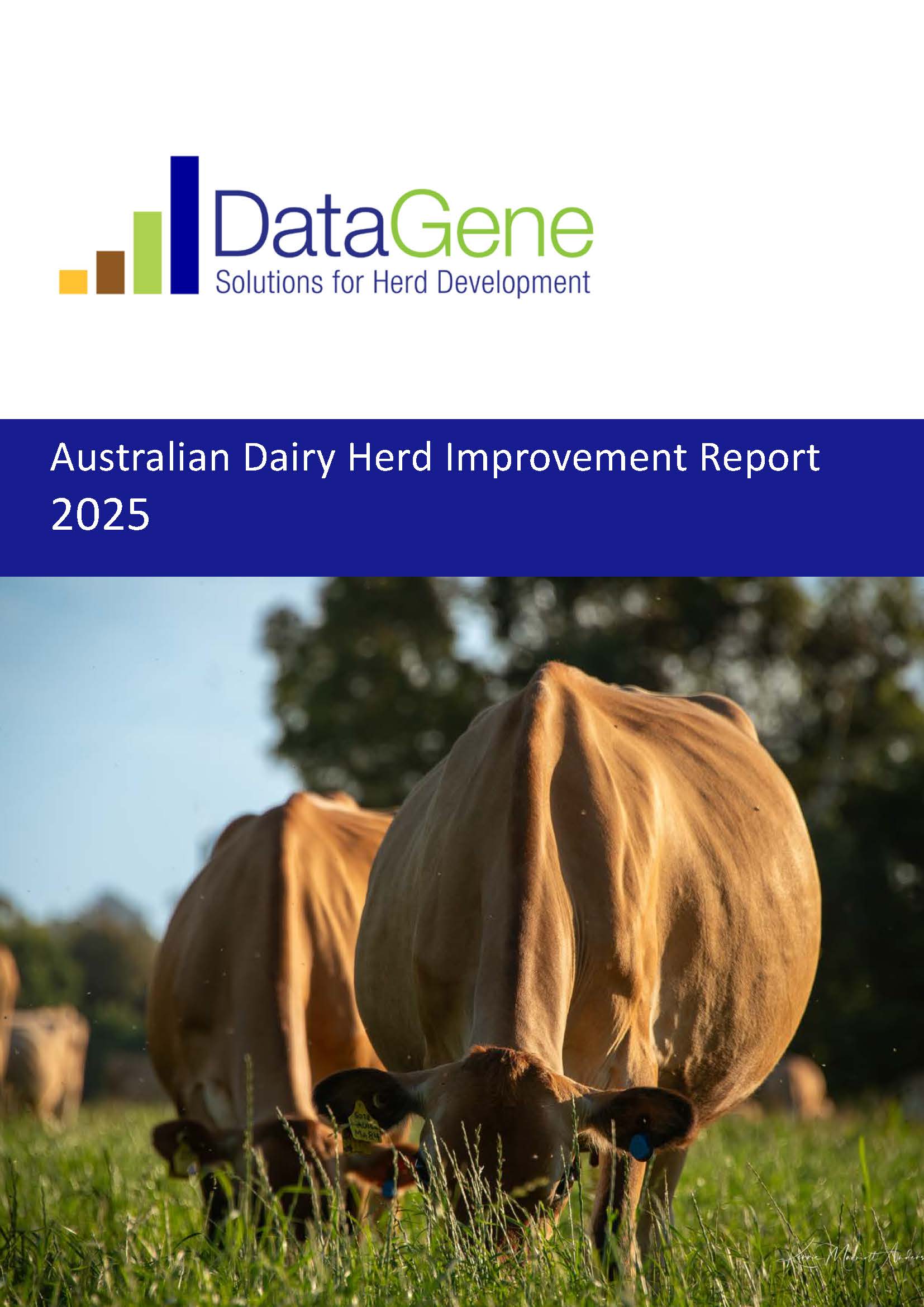 Datagene Corporate Reports | DataGene