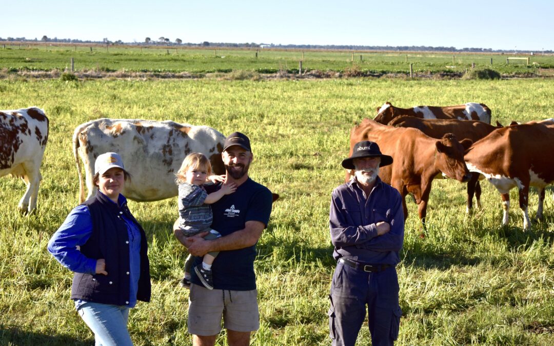 Northern Vic farmers reap benefits of genetic improvements