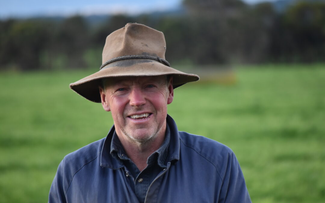 Breeding persistence pays off for dairy farmers